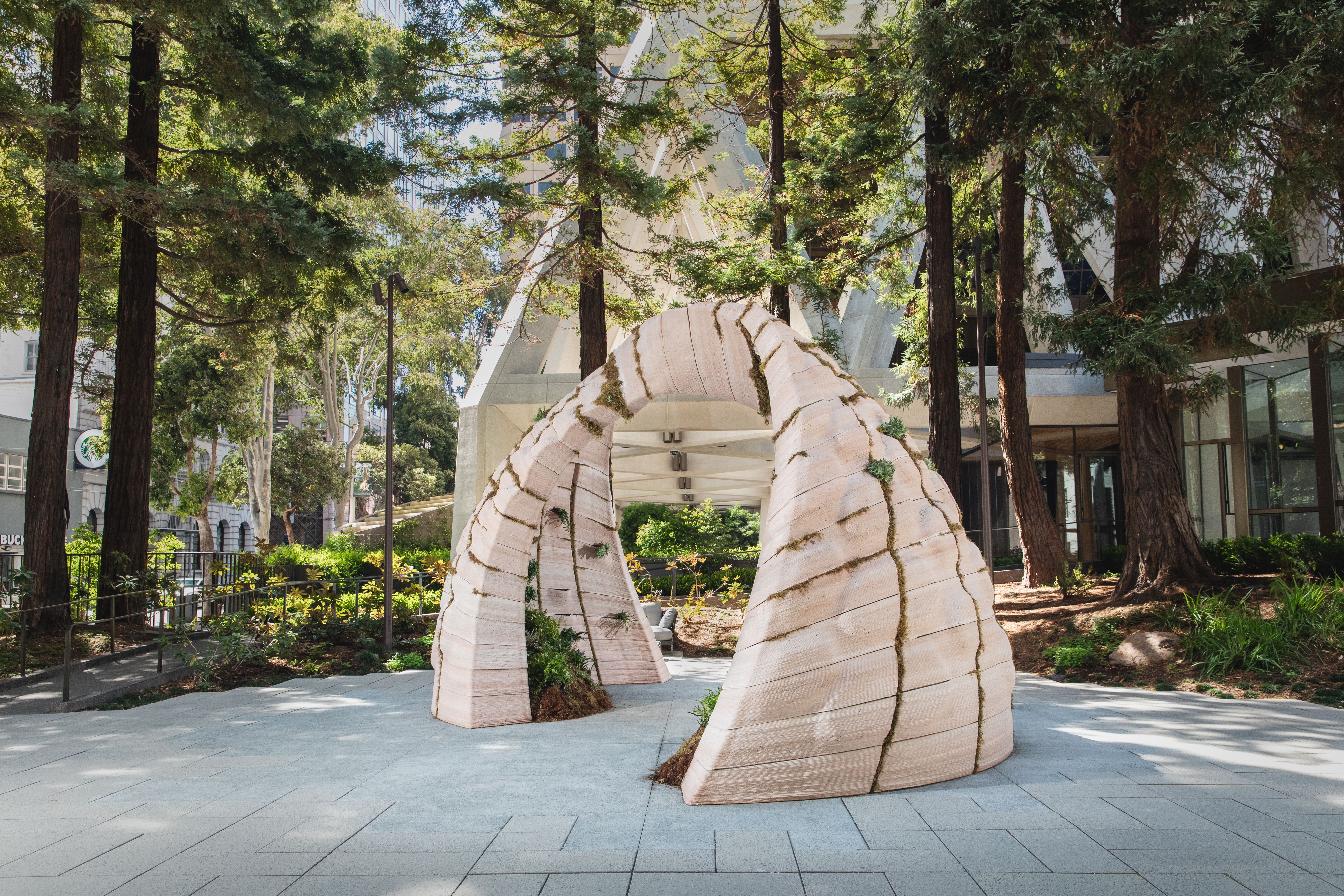 Lily Kwong × ICA San Francisco